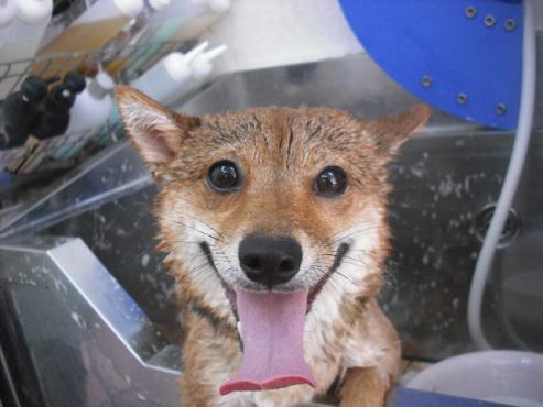 ファイル 1659-2.jpg