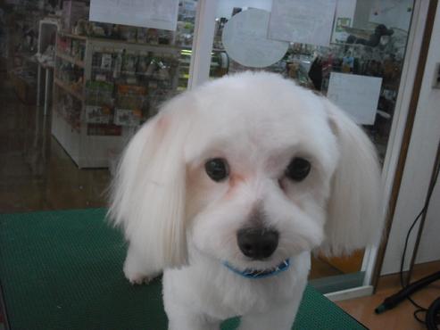 ファイル 166-1.jpg