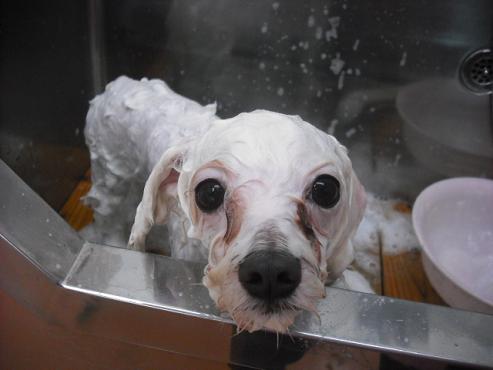 ファイル 166-3.jpg