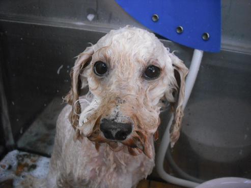 ファイル 1661-3.jpg