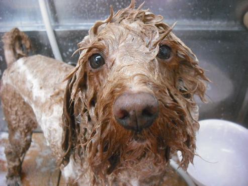 ファイル 1663-2.jpg