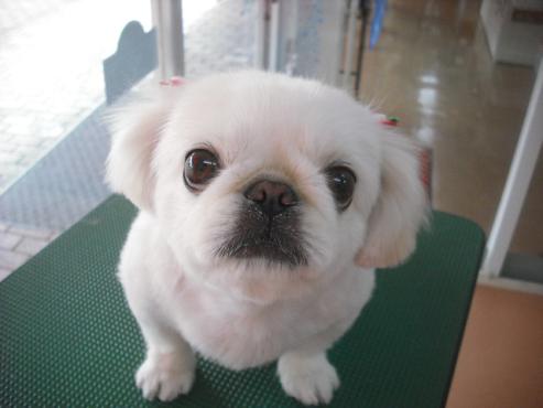 ファイル 1664-1.jpg