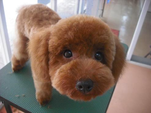 ファイル 1666-1.jpg