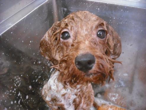 ファイル 1666-3.jpg