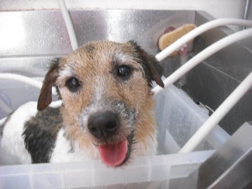 ファイル 1667-3.jpg