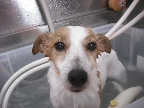 ファイル 1668-2.jpg