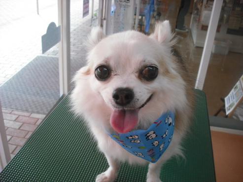 ファイル 1669-1.jpg