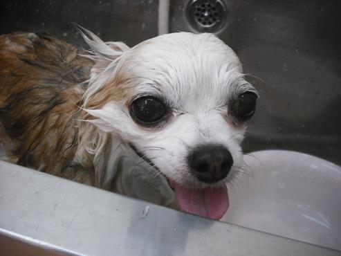 ファイル 1669-2.jpg