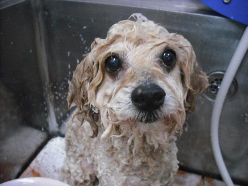 ファイル 167-2.jpg