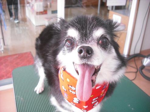 ファイル 1670-1.jpg