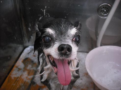 ファイル 1670-3.jpg