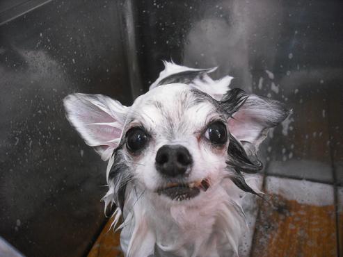 ファイル 1671-3.jpg