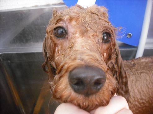 ファイル 1672-3.jpg