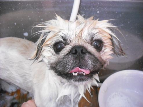 ファイル 1673-2.jpg