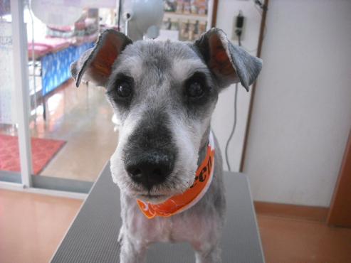 ファイル 1674-1.jpg