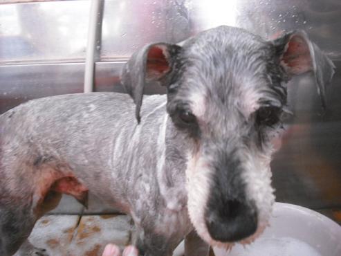 ファイル 1674-3.jpg