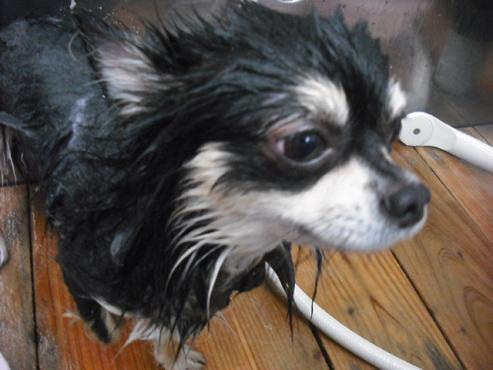 ファイル 1675-3.jpg