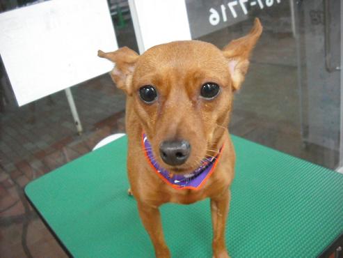 ファイル 1676-1.jpg