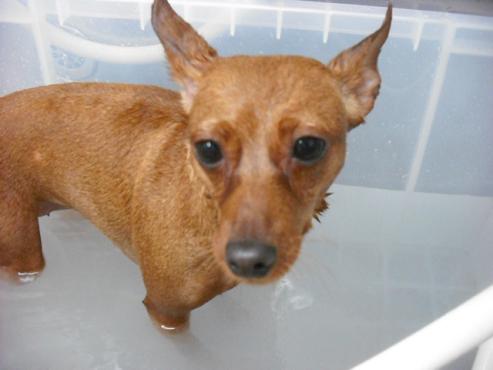 ファイル 1676-2.jpg