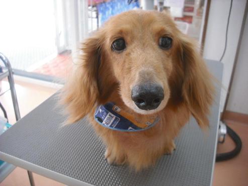 ファイル 1677-2.jpg