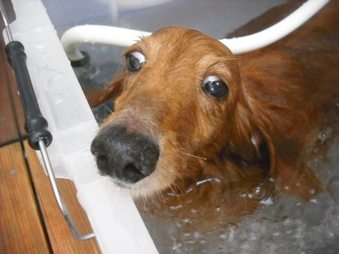 ファイル 1677-3.jpg