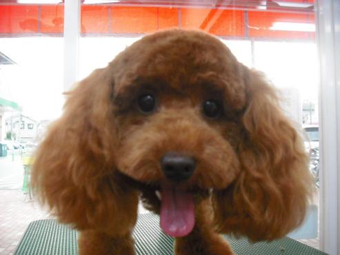 ファイル 1678-1.jpg