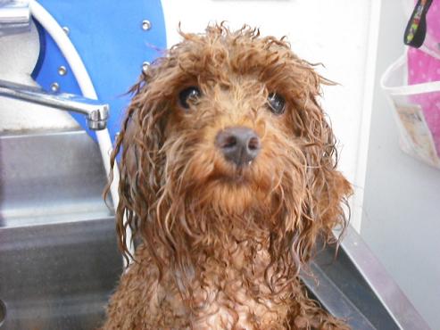 ファイル 1678-3.jpg