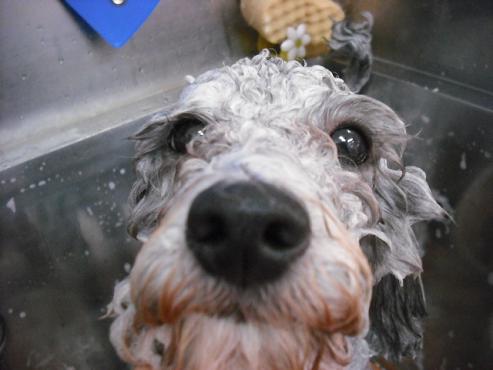 ファイル 1679-3.jpg