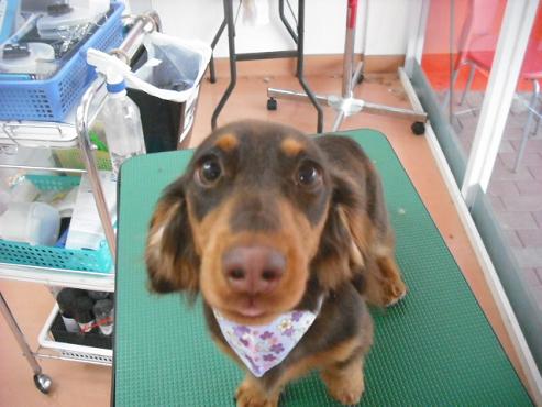 ファイル 168-1.jpg