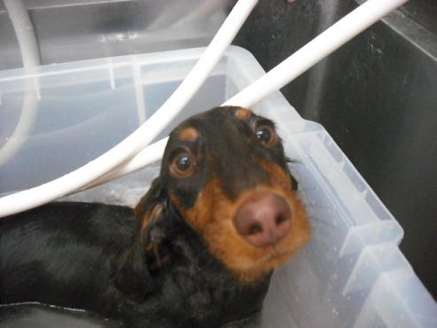 ファイル 168-2.jpg