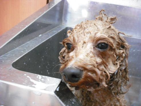 ファイル 1680-3.jpg