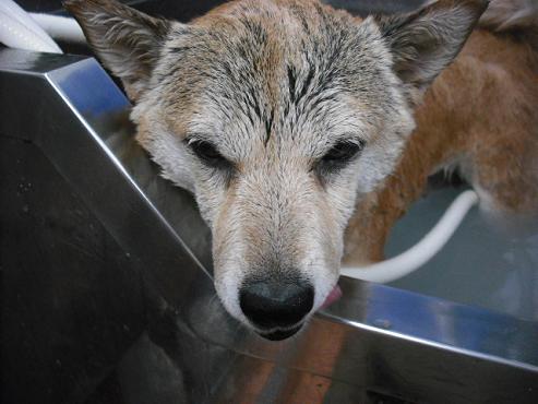 ファイル 1681-3.jpg