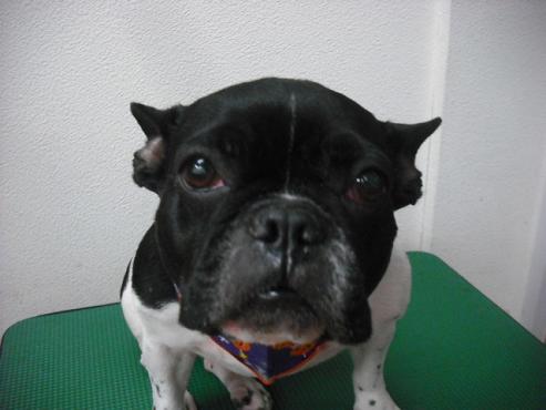 ファイル 1682-1.jpg