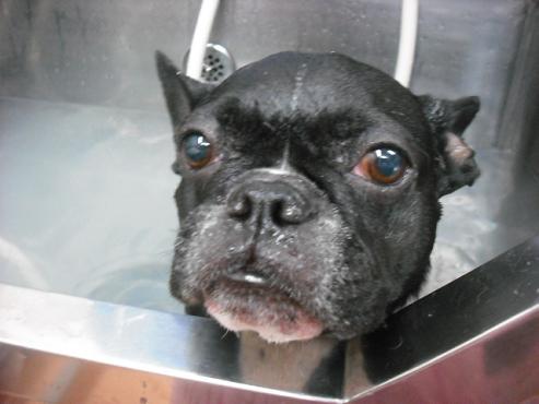 ファイル 1682-2.jpg