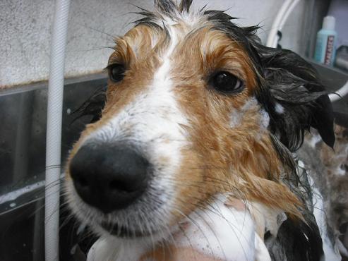 ファイル 1683-3.jpg