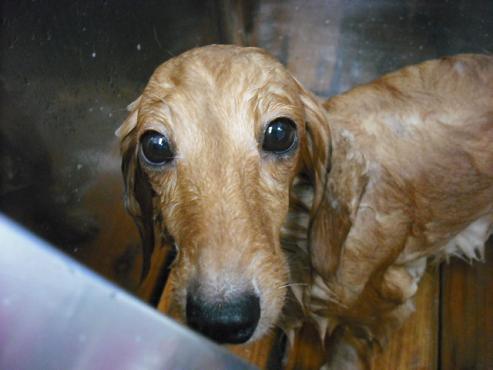 ファイル 1685-3.jpg