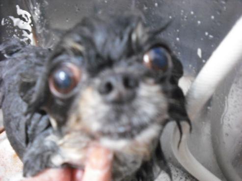 ファイル 1686-2.jpg