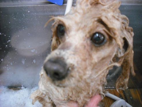 ファイル 1687-3.jpg