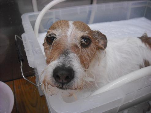 ファイル 169-3.jpg