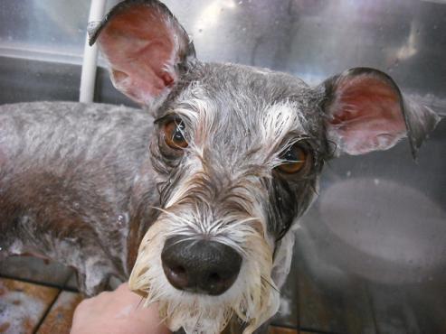 ファイル 1692-2.jpg