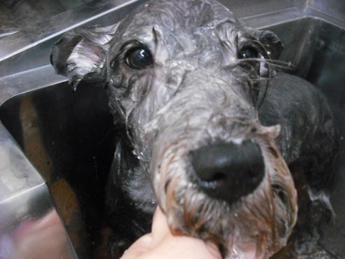 ファイル 1693-3.jpg