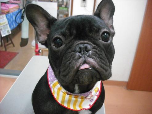 ファイル 1694-1.jpg