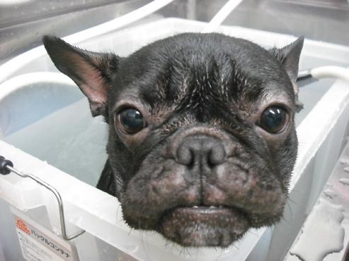 ファイル 1694-3.jpg