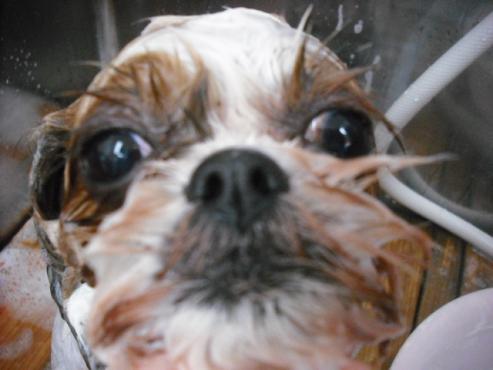 ファイル 1695-3.jpg