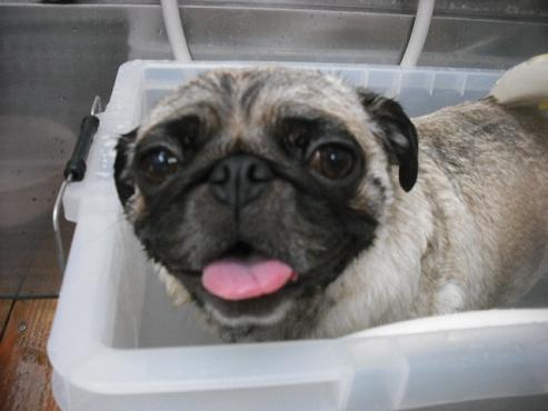 ファイル 1697-2.jpg