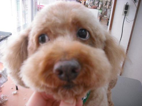 ファイル 1698-2.jpg