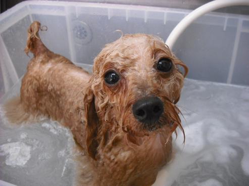 ファイル 17-2.jpg