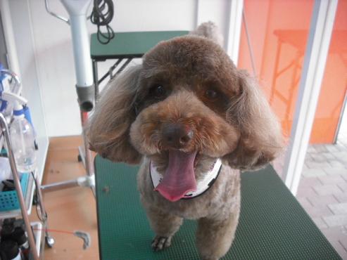 ファイル 170-1.jpg