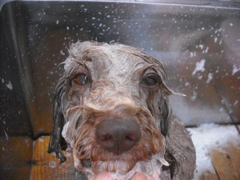 ファイル 170-2.jpg