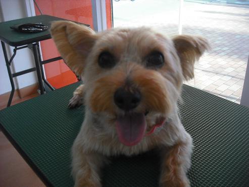 ファイル 1700-1.jpg